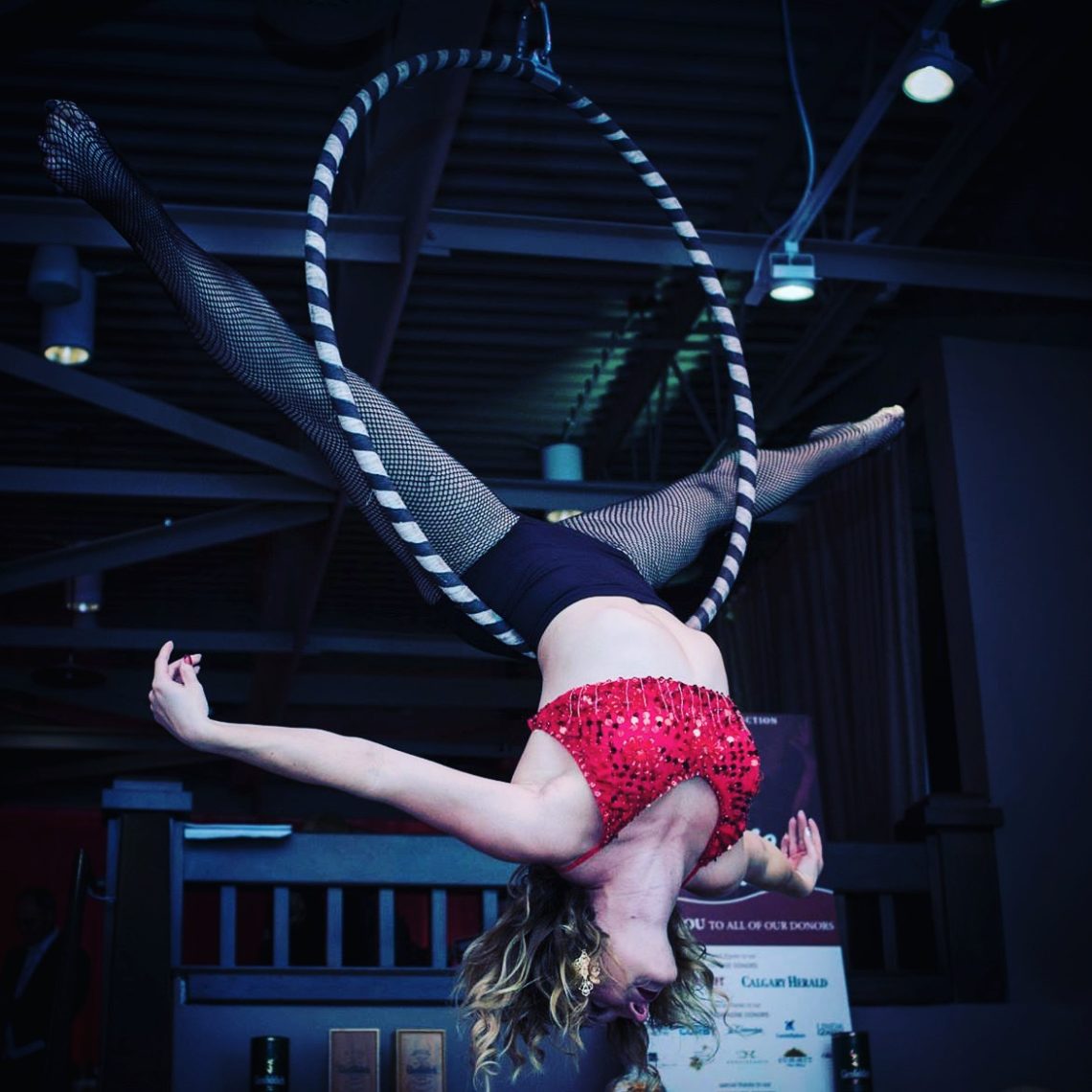 Aerial Hoop Artists